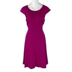 Adrianna Papell deep pink berry cap sleeve mesh stripe stretch a-line dress 6
